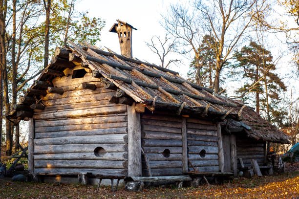 Tiimatuvat: Finland’s Timeless Wooden Structures and Cultural Legacy